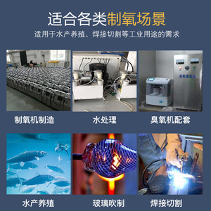 Oxygen Generator Core 10L H2O2 Air Separation Compression Type Industrial Use High Purity 99% - Product Image 3