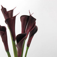 Yilun C0014 Fleurs artificielles de lys chinois en PU de 65 cm - Blanc et bordeaux, réalistes et écologiques pour la décoration de Pâques et de Noël