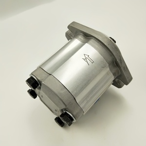 Bomba de Aceite para Grúa Grande CBK1008/1010/1016-A1FR, Bomba de Engranajes CBK1012/16-B4FR, Bomba de Engranajes Hidráulica CBK1016-A15FL - Product Image 1