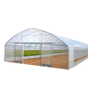 Galvanized Steel Frame Single Span PE Film Greenhouse For Agriculture Low Cost Tunnel Greenhouse