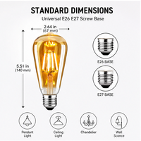 Ampoule LED à filament rétro ST64 E27 dimmable, style cage d'écureuil antique, 4-16W, remplacement pour ampoules incandescentes et halogènes, finition teintée