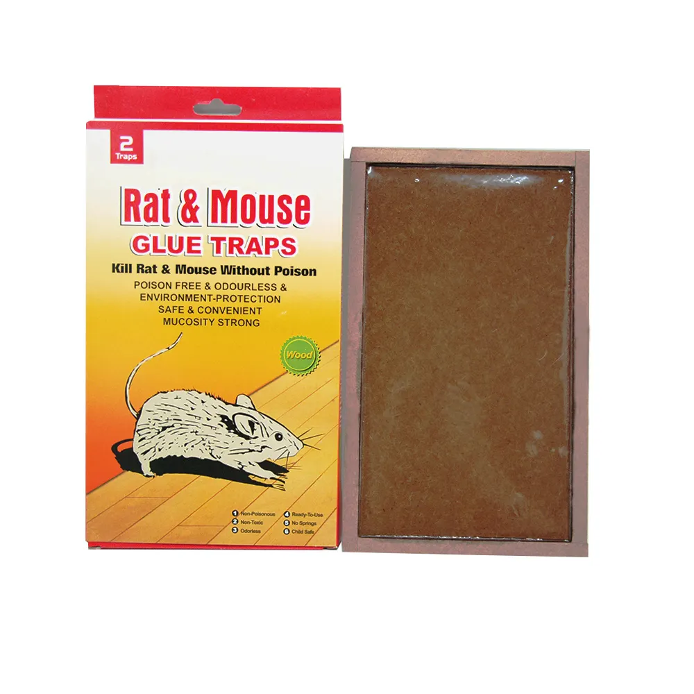 Fábrica Atacado Derreter Mouse Cola Armadilhas Alta Qualidade Obter Mouse Cola Armadilhas para Limpeza de Pragas Eco Mouse & Rat Glue Trap