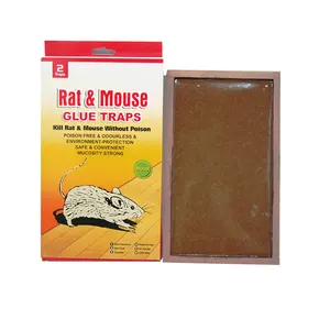 מפעל הסיטונאי ממס דבק עכבר מלכודות באיכות גבוהה לקבל מלכודות דבק עכבר ניקוי ידידותי לסביבה & עכבר דבק מלכודת דבק
