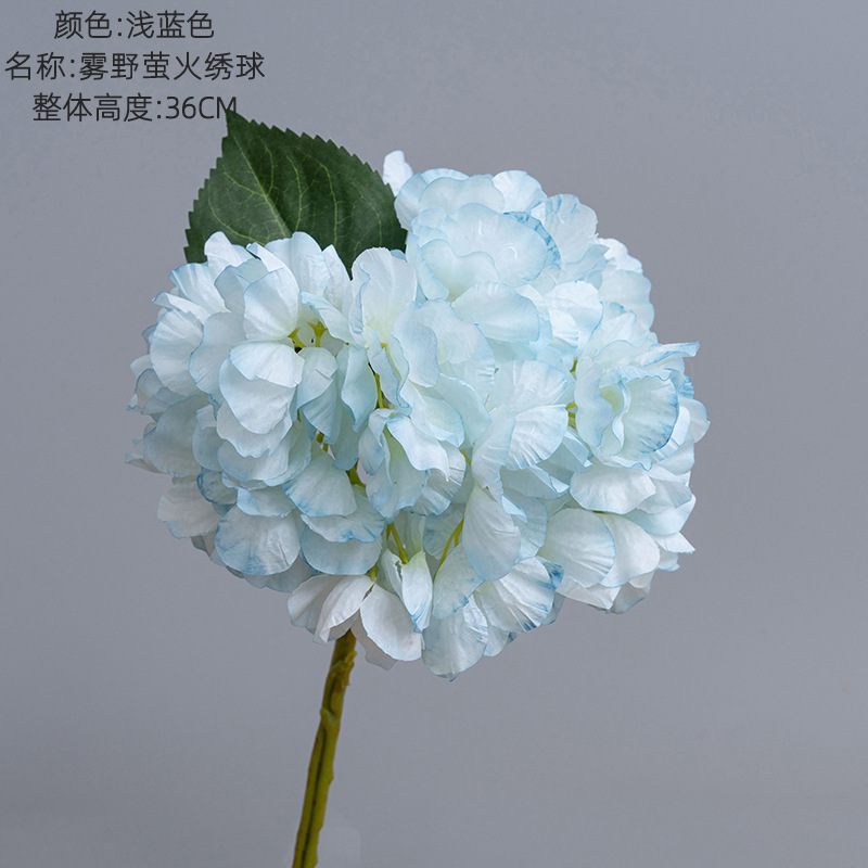 Bleu clair