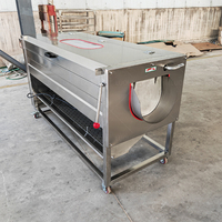 Commerciële Volautomatische Fruit-En Groenteborstel-Type Wasmachine, Aardappel Reinigings-En Schilmachine, Cassave