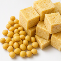 Qingzhen 400g Morceaux de Tofu de Soja pour la Restauration, Cubes de Tofu Congelés pour Restaurants, Hot Pot, Soupe, Plats à Frire, Préparation de Repas et Traiteur