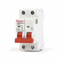 Disjoncteur électrique 1P 2P 3P 4P Mini MCB AC 4.5kA 63A à déclenchement automatique sur rail DIN IP20 CE CB PA66