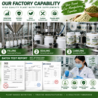 Vegan Protein Powder Mung Bean Protein Private Label OEM Custom Packaging Pouch Jar Tub for Brand Owner Ecommerce Seller