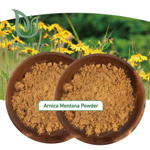 Polvo de Arnica Montana para alimentos naturales 100%, alivio del dolor orgánico de alta pureza, cuidado de la piel, medicina herbal, agua certificada GMP a granel - Product Image 3
