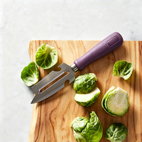 Éplucheur multifonction 2-en-1 avec poignée en PP, trancheuse à pommes de terre, ouvre-bouteille, outil de cuisine pour éplucher citrouille, courgette et fruits