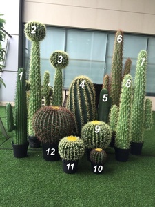 Cây Xương Rồng Nhân Tạo Trang Trí Trong Nhà Bán Sỉ Cây Mọng Nước - Product Image 6