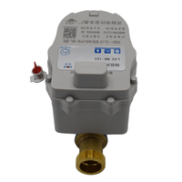 Compteurs d'eau intelligents à lecture à distance pour usage domestique, prépayés, 1/2 Lorawan Nb Iot