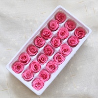 Rose éternelle, fleur préservée, pour un cadeau