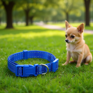 Collier réglable en nylon réfléchissant bleu pour animaux de compagnie, petite taille, pour les races plus petites, toutes saisons, fermeture à boucle - Product Image 2