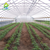 Kit de serre tunnel agricole automatique à simple travée de 300 m² en film PE pour tomates, sur mesure