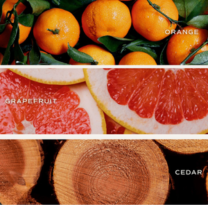 Aromas Intensos para Velas de Soya Premium, Más de 3000 Variedades - Aceite de Fragancia para Fabricación de Velas - Product Image 4