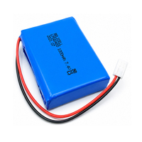 Batterie au lithium polymère rechargeable 1000mAh 523450 3.7V avec circuit de protection (PCM/BMS) et connecteur JST PH2.0