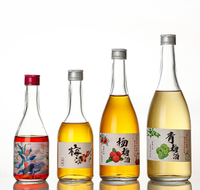 Bouteille de jus en verre Offre Spéciale de 16oz 750ML 1000ML Bouteille de vin de fruits pour boissons alcoolisées Capacité de 500ML pour diffuseur