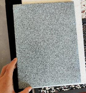 Revestimiento de Piso Autonivelante de Color Arena Epóxica para Instalaciones Médicas <span class=keywords><strong>ADT</strong></span>, Aplicación con Brocha, Piso Sanitario sin Juntas, Alto Brillo - Product Image 5