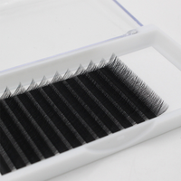 Extensions de cils individuelles mates, extensions de cils en cachemire, extensions de cils en volume, extensions de cils faciles à poser, extensions de cils coréennes