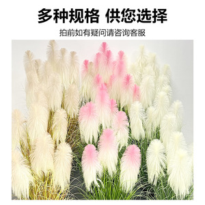 Plante artificielle Tête de Lion en roseau, haute simulation, 100-200 cm, pour décoration intérieure, verdure en pot - Product Image 3