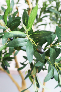 Piante di Ulivo Artificiali Realistiche, Grandi Alberi con Frutti Neri, Decorazione Verde per Soggiorno - Product Image 5