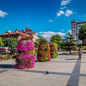 Système de jardinage vertical hydroponique Tower Garden SL-YR160 - Product Image 6