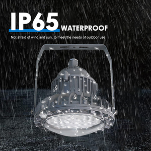 Bán buôn IP65 không thấm nước trạm xăng mỏ cao bay ánh sáng 50W 100W 150W dẫn nổ ánh sáng bằng chứng - Product Image 4