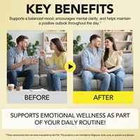 SOLOTREE Patchs Transdermiques de Dopamine en Gros – Soutien Énergétique Naturel pour Hommes et Femmes – Équilibre Émotionnel