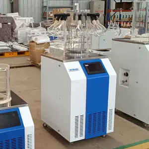 Biobase Lab Use Freeze Dryer For Sale / Lyophilizer Freeze Dryer Fruit Machine / Food Freeze Drying Machine