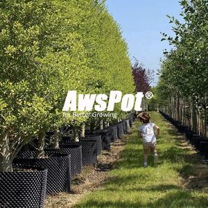 Grand <span class=keywords><strong>pot</strong></span> en plastique blanc de 20 50 200 gallons pour l'élagage des racines 100x80cm pour bois d'agar, calamansi, arbres, haie, plantes d'intérieur et d'extérieur - Product Image 6