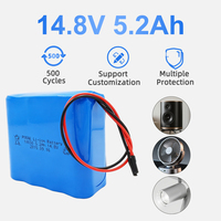Batteries rechargeables POEAE personnalisées 5200mAh 15 volts, pack de batteries 18650