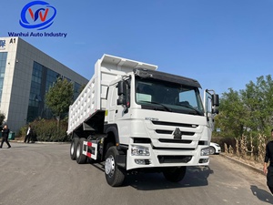 Camion <span class=keywords><strong>benne</strong></span> basculante HOWO 6x4 371HP en stock, options LHD/RHD, carrosserie de chargement diesel, capacité 25-35T pour projets de construction au Moyen-Orient - Product Image 4