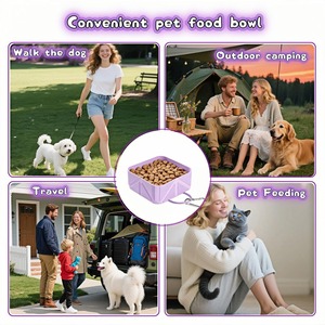 Ciotola Pieghevole in Silicone per Animali Domestici, Portatile per Viaggi e Attività all'Aperto, Contenitore Quadrato per Acqua e Cibo per Cani - Product Image 5