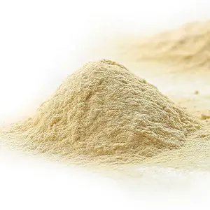 工厂供应强化全食品蛋白食品级营养酵母提取物粉