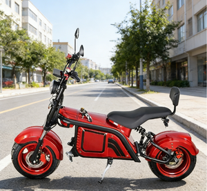 48V 60V 72V 2000W 3000W 4500W 6500W レーシングスクーター 格安オフロード電動バイク - Product Image 4