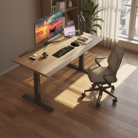 Meubles de bureau ergonomiques Bureau debout réglable en hauteur électrique Moteur double motorisé Table d'ordinateur relevable Cadre de bureau