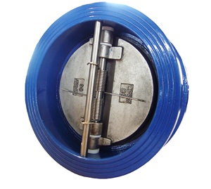 Válvula de Retención de Brida de Hierro Dúctil - Product Image 5