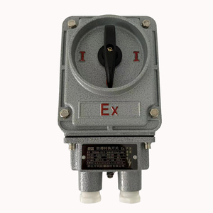 Chứng nhận an toàn ZXZK88-10/3 chống cháy nổ chuyển đổi chuyển đổi cho nhà máy dược phẩm khu vực nguy hiểm sử dụng điện - Product Image 6