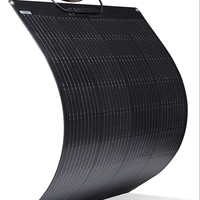 Panneaux solaires monocristallins de haute qualité de type N 100W 200W 300W Panneaux solaires flexibles légers