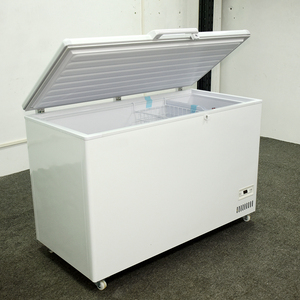 Congelatore Commerciale a Temperatura Ultra Bassa -40 Gradi F, Congelatore a Pozzetto Profondo per Carne Congelata - Product Image 2