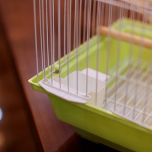 Lüks Metal Tel Kuş Kafesleri, Sultan Papağanları ve Muhabbet Kuşları için El Yapımı - Product Image 3