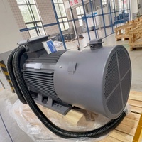Moteur électrique IE5 avec contrôleur numérique, tension électrique 200 kW, 1460 tr/min, boîte de vitesses électrique monophasée