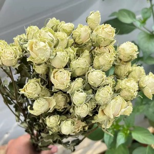 Flores de Rosa Secas de Alta Qualidade para o Dia das Mães, Formaturas, Natal, Velas Aromáticas para Casa, Decoração de Casamento DIY, Flores REAIS de Longa Duração - Product Image 3