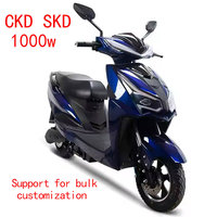 Sepeda Motor Listrik CKD Buatan China, Aksesoris Lengkap, Harga Grosir Terjangkau, Sepeda Listrik