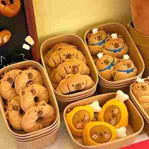 Lindo Llavero de Peluche de Capibara con Temática de Comida, Colgante de Animal de Peluche Suave con Diseño de Pan y Donut, Kawaii, Ecológico, Forma 3D, para Bolsos - Product Image 6