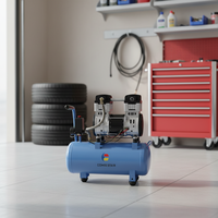 Compresseur d'air sans huile spécial, type piston, -40 degrés Celsius, basse température, 12V AC, moteur refroidi par air, roulement central