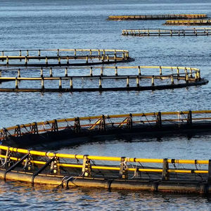 Cage à poissons flottante pour aquaculture, structure en HDPE et acier durable, pièges, fonction de divertissement, taille personnalisée - Product Image 1