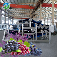 Hoge Capaciteit Automatische Motor Aangedreven Vruchtensapproductielijn Met Koude Perstechnologie Voor Fruitverwerkingsfabriek