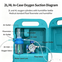 Série de bouteilles d'oxygène médical 2L/4L / Dispositif d'alimentation en oxygène médical
